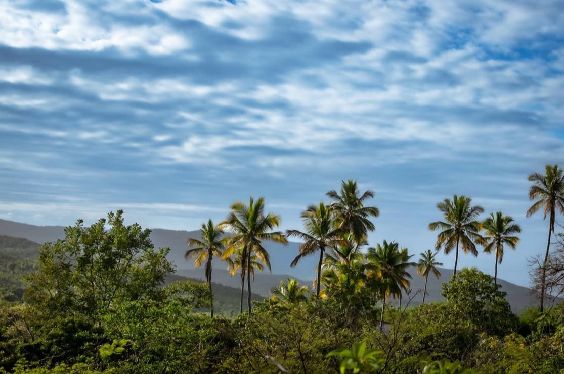 Belle-Anse, une ville entre tradition, nature et potentiel touristique