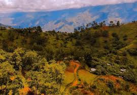 Haïti : Entre géographie contrastée et richesse naturelle