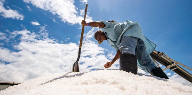 La Production du Sel en Haïti : Un Savoir-Faire Traditionnel au Cœur de l’Économie Locale