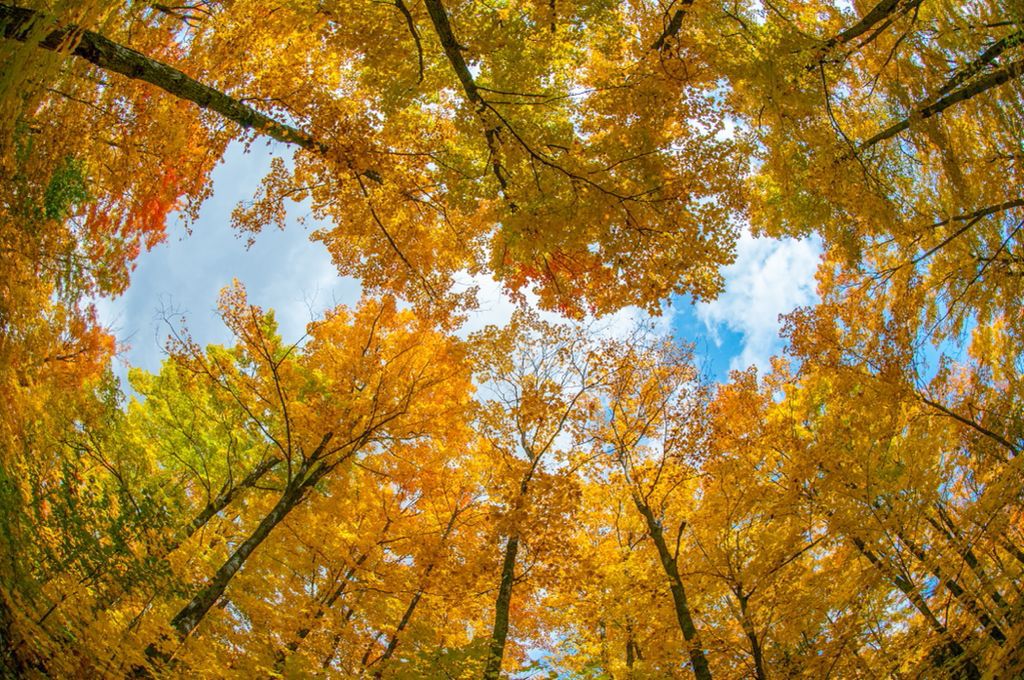 Quand commencent les 4 saisons en Haïti ?