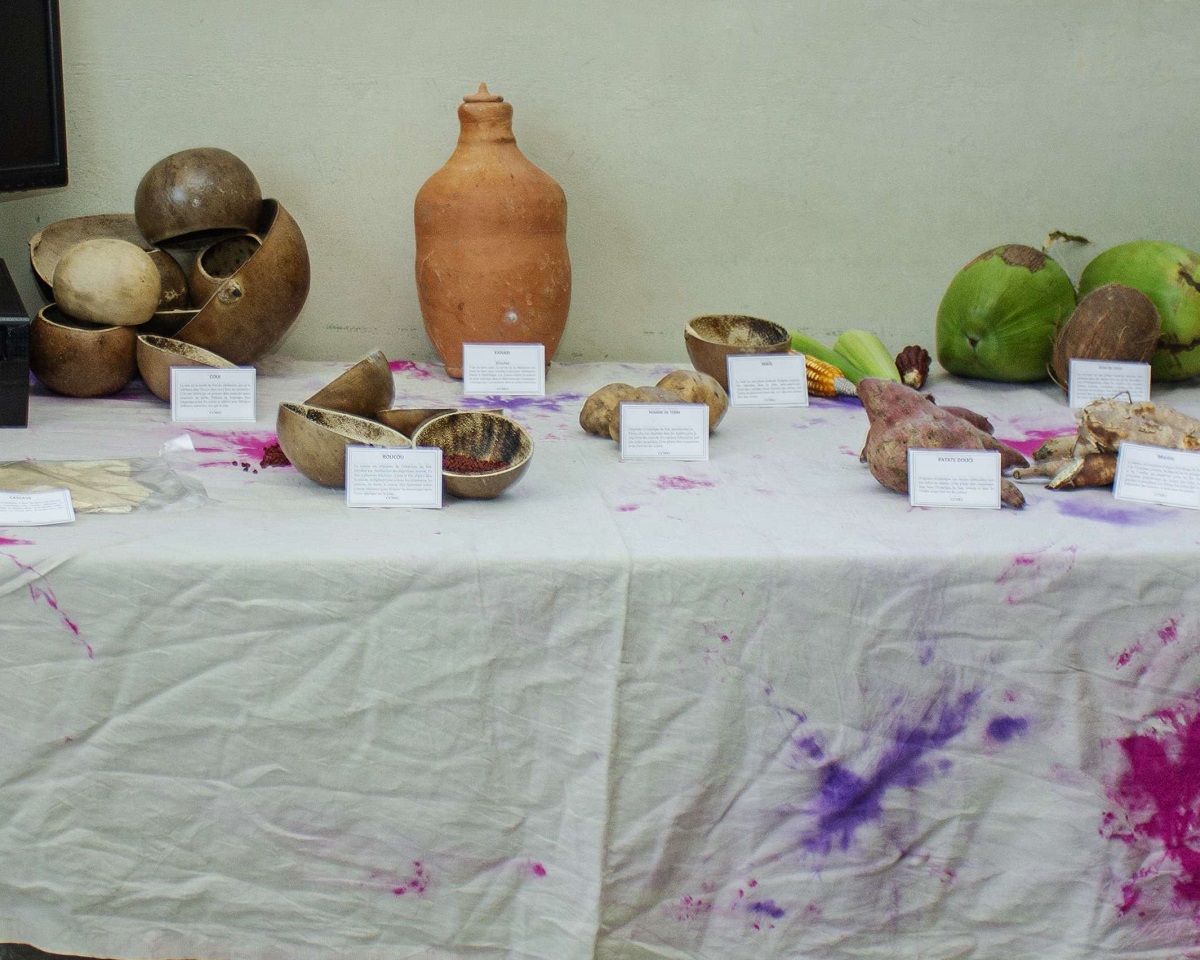 Un Voyage au Cœur de l’Héritage Précolombien : Retour sur l’Événement Survivance Arawak, Taïnos, Ciboney