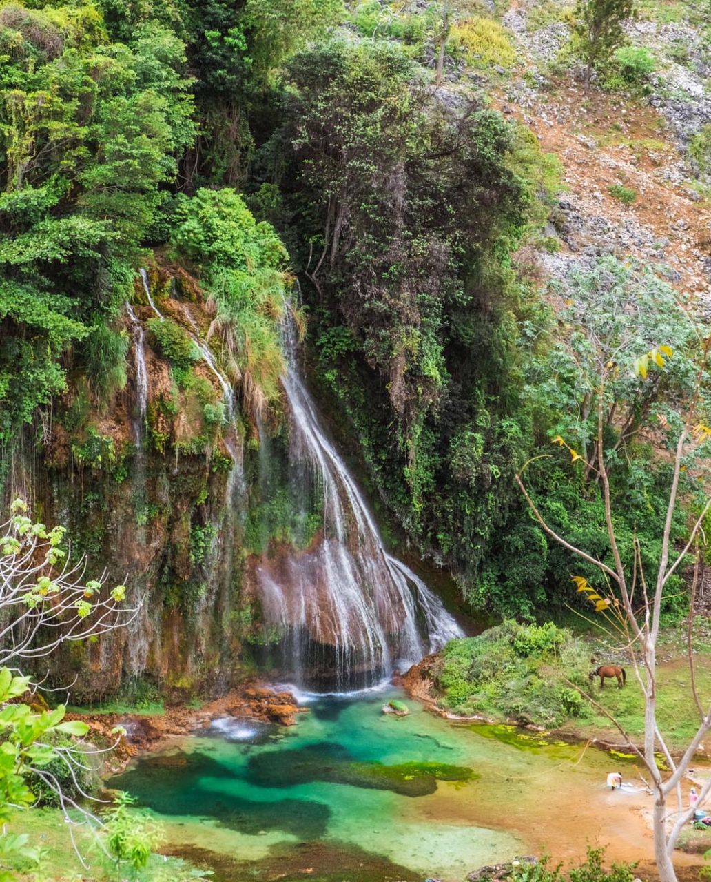 Haïti : Découvrez la Magie de la Cascade de Pichon à Belle-Anse : Un Trésor Naturel à Explorer